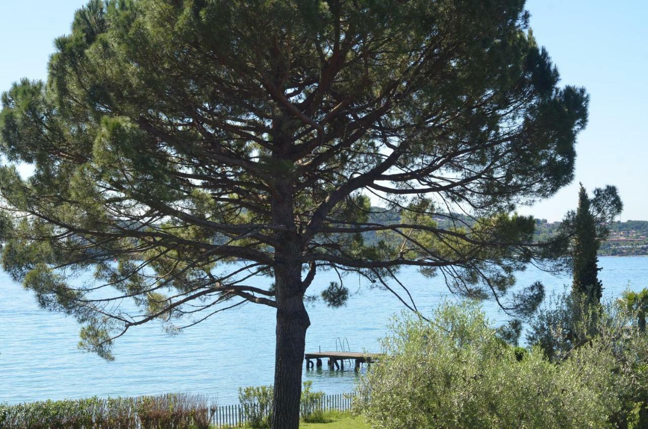 Bequi Panzió San Felice del Benaco Kültér fotó